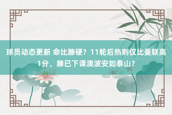 球员动态更新 命比滕硬？11轮后热刺仅比曼联高1分，滕已下课澳波安如泰山？