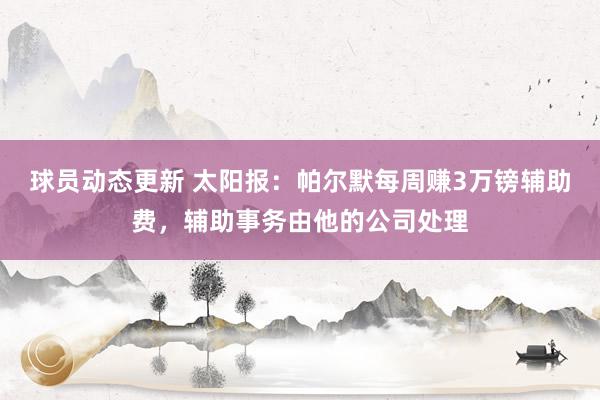 球员动态更新 太阳报：帕尔默每周赚3万镑辅助费，辅助事务由他的公司处理