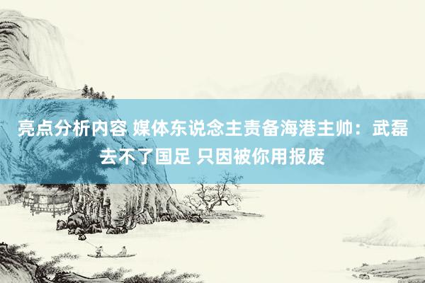 亮点分析内容 媒体东说念主责备海港主帅：武磊去不了国足 只因被你用报废